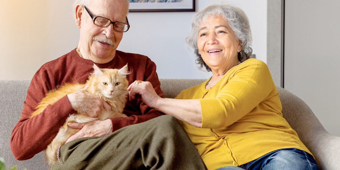 Terapia con gatos: cómo nos ayuda su ronroneo a sobrellevar el estrés y la tristeza