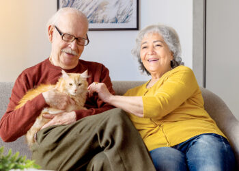 Terapia con gatos: cómo nos ayuda su ronroneo a sobrellevar el estrés y la tristeza