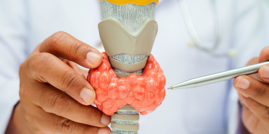 El rol del sistema endocrino y reproductor en la salud ósea