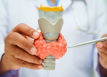 El rol del sistema endocrino y reproductor en la salud ósea