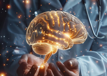 Identifican las células que generan nuevas neuronas en el cerebro adulto humano