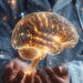 Identifican las células que generan nuevas neuronas en el cerebro adulto humano