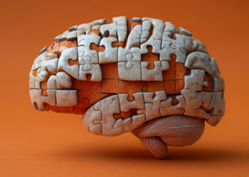 Cuide su memoria: prevención del deterioro cognitivo en la edad avanzada