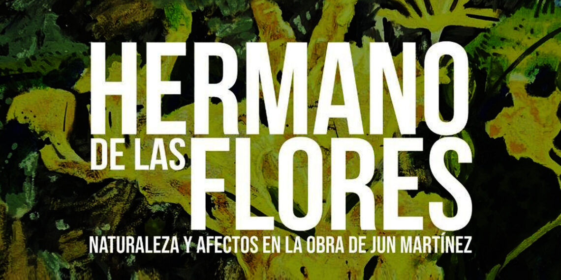 El Museo de San Juan presenta la nueva exposición de Jun Martínez