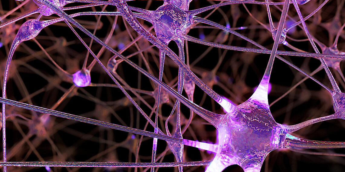 El alzhéimer, ¿una enfermedad infecciosa?