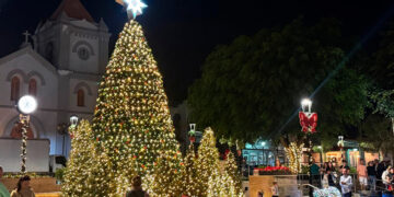Gran éxito en el encendido navideño de Aibonito donde la Plaza Pública se Transformó en un bosque mágico de luces