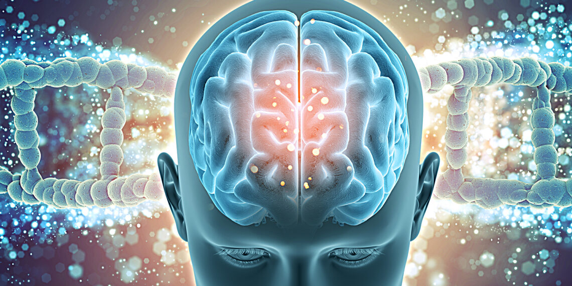 Más inteligentes pero también más vulnerables a los trastornos mentales