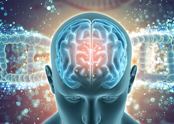 Más inteligentes pero también más vulnerables a los trastornos mentales