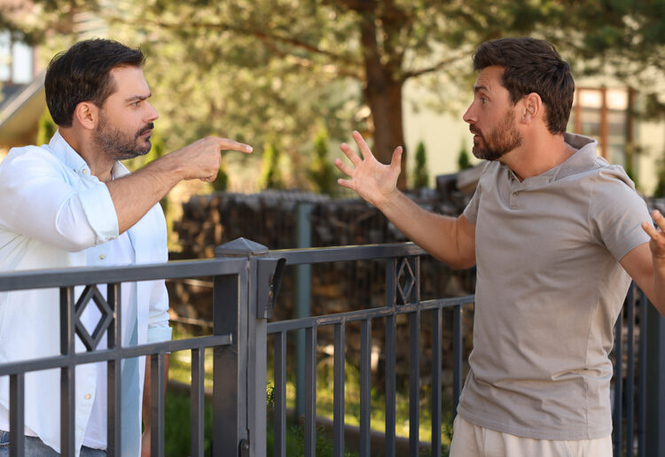 Envidia entre hermanos cómo reconocerla y transformarla en vínculos más sanos