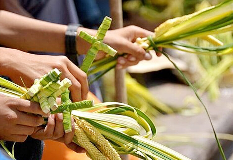 Hacer tu propia palma para el Domingo de Ramos; una tradición que conecta fe, familia y creatividad