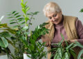 Por qué hablar a las plantas las hace crecer más sanas