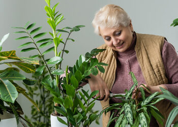 Por qué hablar a las plantas las hace crecer más sanas