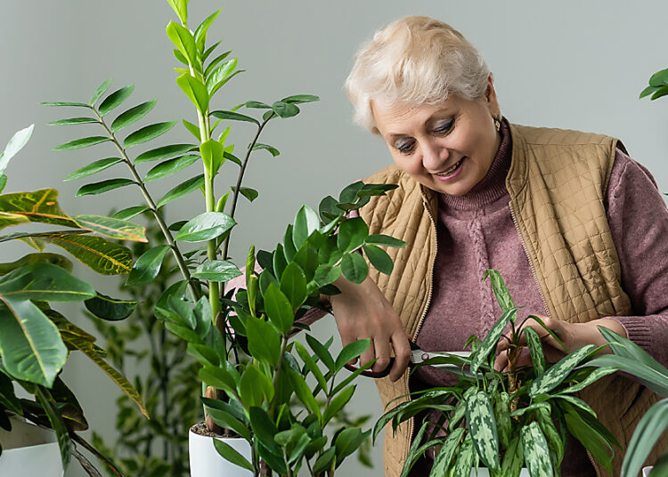 Por qué hablar a las plantas las hace crecer más sanas