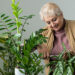 Por qué hablar a las plantas las hace crecer más sanas