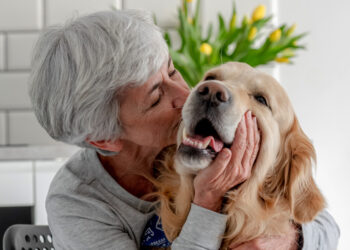 Cuando estamos contentos, nuestro perro nos obedece mejor que si estamos de mal humor