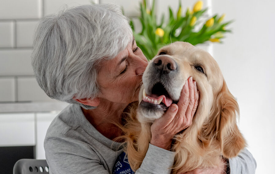 Cuando estamos contentos, nuestro perro nos obedece mejor que si estamos de mal humor