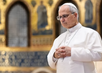 El Papa muestra una buena recuperación tras cirugía pulmonar